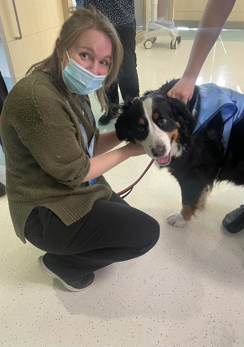 Claudia Craven (@claudia_craven) on Twitter photo Daisy the Bernese Mountain Dog (Baileyโs Dopplerganger!) visiting our spinal patients <a href="/GreatOrmondSt/">Great Ormond Street Hospital for Children</a> <a href="/gosh/">๐ผ๐๐บ๐๐พ</a> ๐ถ <a href="/edelcrowley/">E</a> @moralesc_ale @DFontzzz <a href="/SkywardGOSH/">Sky Ward at GOSH</a> Daisy the Bernese Mountain Dog (Baileyโs Dopplerganger!) visiting our spinal patients <a href="/GreatOrmondSt/">Great Ormond Street Hospital for Children</a> <a href="/gosh/">๐ผ๐๐บ๐๐พ</a> ๐ถ <a href="/edelcrowley/">E</a> @moralesc_ale @DFontzzz <a href="/SkywardGOSH/">Sky Ward at GOSH</a>