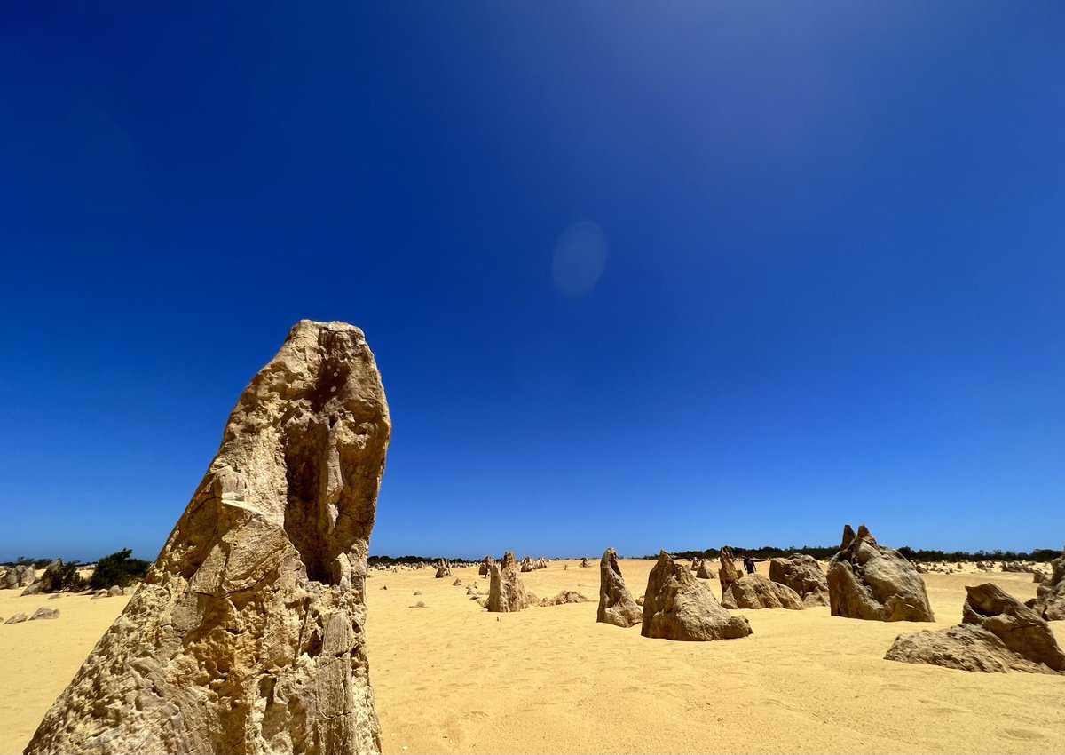 Chorouzu1017's tweet image. パースから最終目的地に向かう途中でピナクルズに立ち寄り。
この抜けるような蒼い空は日本ではない色かも。
ペンギンや猛禽類、アシカみたいな岩も発見(笑)
#Pinnacles
#ピナクルズ