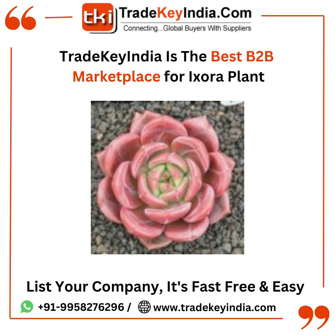 TradeKeyIndia.Com is Best B2B Portal in India  provides Top B2B Marketplace to grow your business globally.
Call/Whatsapp: +91-9958-276-296/ 9999-065-097
Email Us: support@tradekeyindia.com
#TradeKeyIndia #b2bportalinindia #LargestB2BPortal #b2bportal #portal