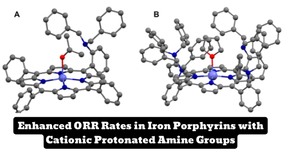 IACS Research: Investigating the Effect of Tertiary Amines on Iron Porphyrin ORR Catalysis
