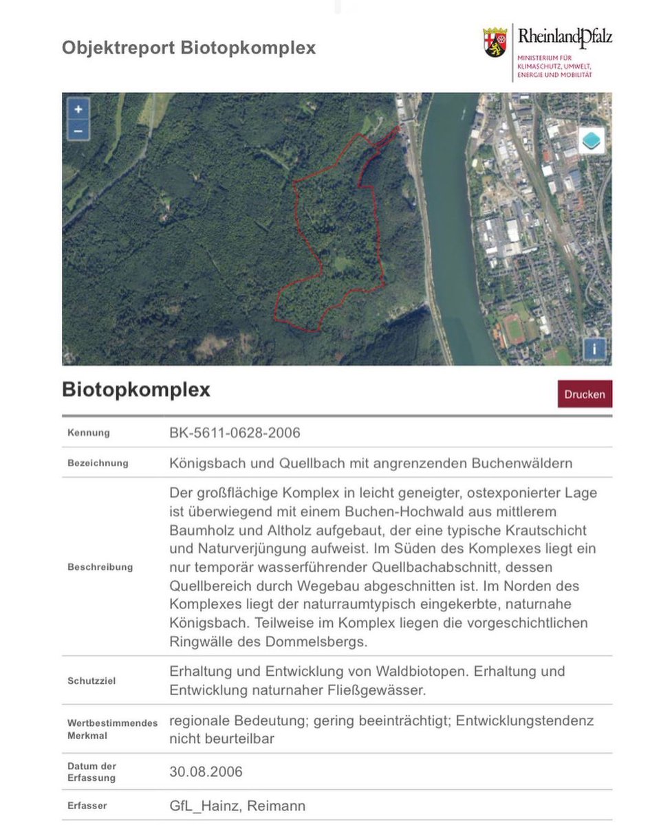 waldwendejetzt's tweet photo. Bucheneinschlag im schutzwürdigen Biotopkomplex; muß das sein? Darf das sein? Details zum Waldort und den forstlichen Maßnahmen im Koblenzer Forstrevier Kühkopf via:
https://t.co/nsyEWjurrz
#biotopkomplexe #waldschutz #habitatschutz #biodiversität #waldwendejetzt #koblenz https://t.co/7MsBLCbW5E