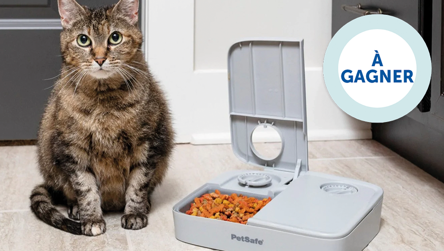 PetSafeFR's tweet photo. Follow &amp; Retweet @PetSafeFR - Donner le repas à son animal même si vous êtes absent est désormais possible... Tentez de gagner notre Distributeur automatique de croquettes pour 2 repas. 1 gagnant sera désigné par TAS le 14/02/2023.
*concours réservé à la 🇫🇷 https://t.co/Z3ZcPpKWFf