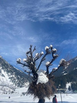 Aishakhan0110's tweet photo. The snowcapped mountains...
The beautiful Lidder River....
The clear blue sky &amp; the pristine white snowpaths .....❄️💙
#Kashmir you always steal my heart💕
#pahalgam #beautiful #destinations #heavenonearth https://t.co/MwurZWhHc5