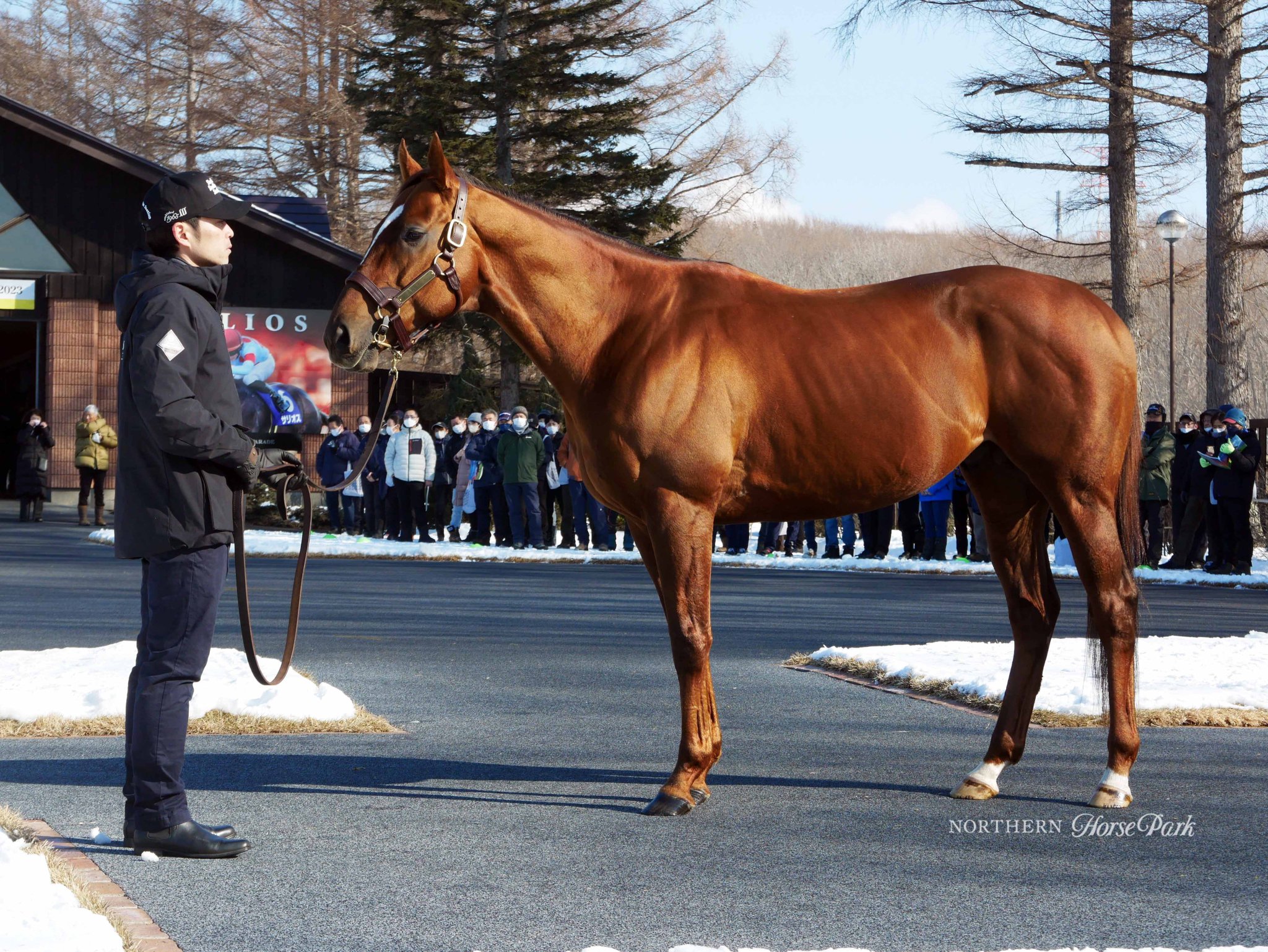 ノーザンホースパーク競馬　オルフェーヴル、キタサンブラック、コントレイル他 名馬巡りの旅】コントレイル、キタサンブラック、オルフェーヴル