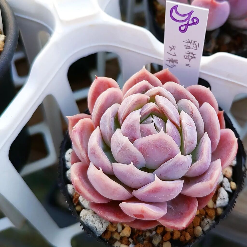 sunny spot (@HMayo1201) / Posts / X