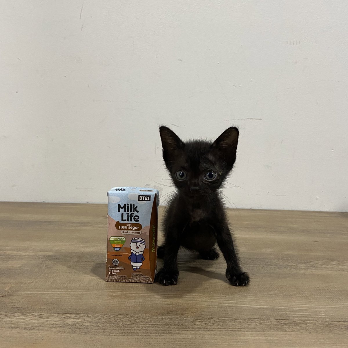 kochengfs's tweet image. 🐈‍⬛ Jgn lupa mimi tutu ya adik”