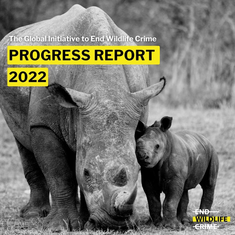 ADMCapFound's tweet photo. The Global Initiative to #EndWildlifeCrime shares it 2022 Progress Report. Marking a year of significant achievements with thanks to its Steering Group, network of 28 international Champions, partners and supporters.

Read: https://t.co/IJKs992pN4

#EndWildlifeCrime https://t.co/rRLJt3GQjU