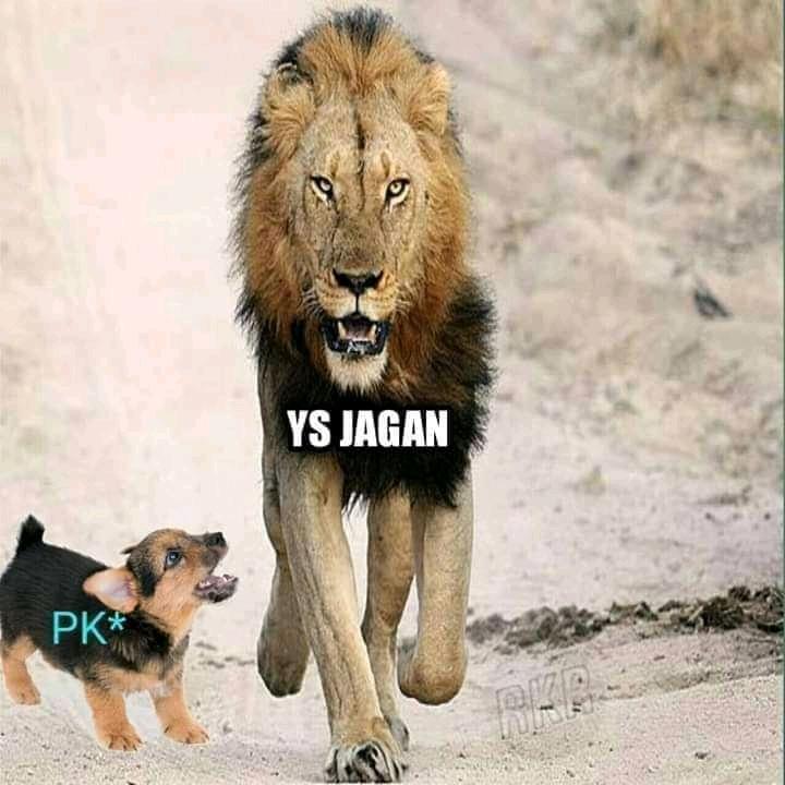 Keyrun Chowdary🔥 tweet media