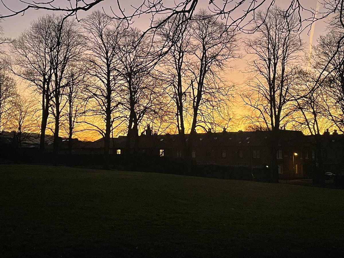 Rebecca1Walks's tweet photo. When your mornings look like this, and the birds are singing, you know Spring is coming. Take a moment to breathe today, recharge your battery, and I hope the day is good to you 💛 #bingley #myrtlepark https://t.co/J3Na2DrrL6