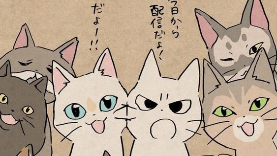 7iwoos's tweet image. ꔛ welcome to  qiqis world ｡⋆⸜ !!

🖇  info . . . !
  loc  valenzuela mm
  mop  gcash
  mod  sco jnt ggx flash