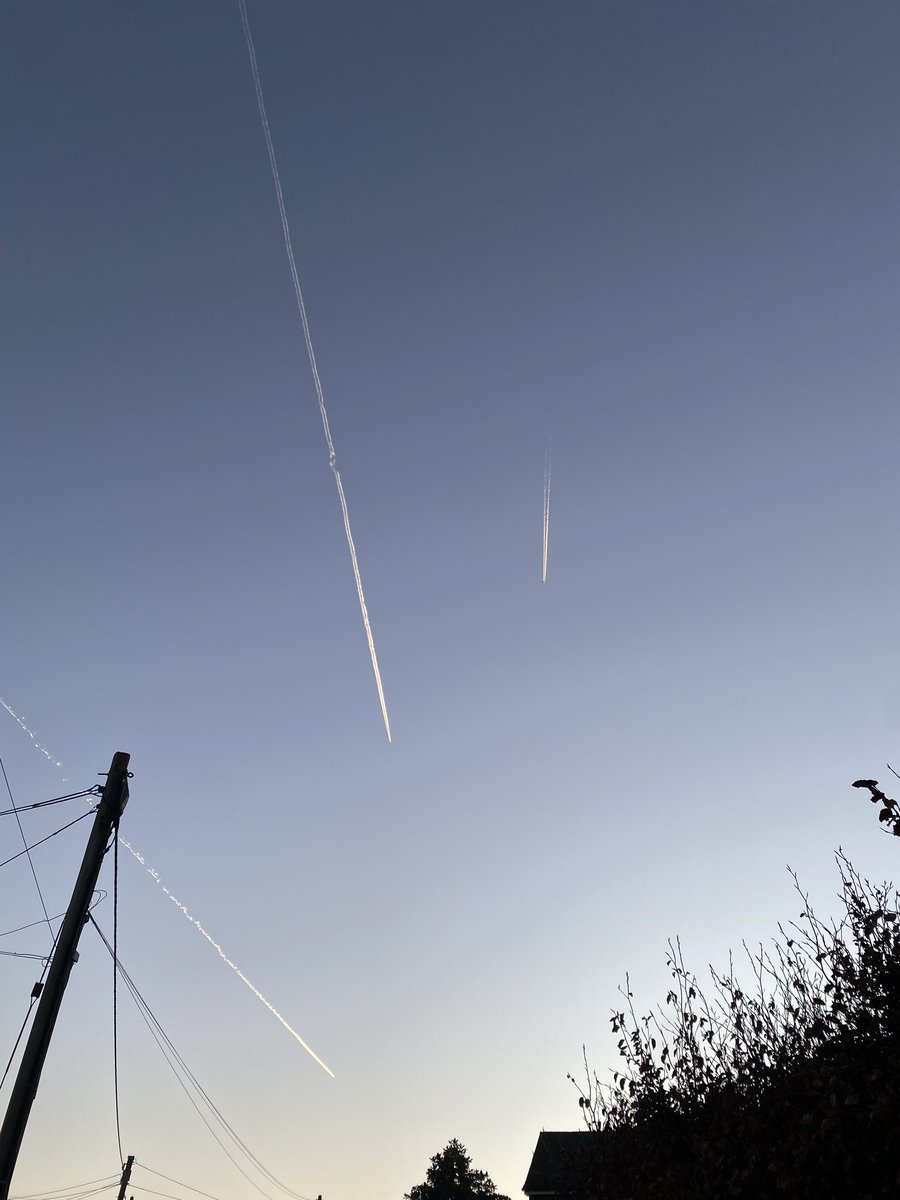 MelanieQuinn1's tweet image. Wonder where they’re off to? #springtravels