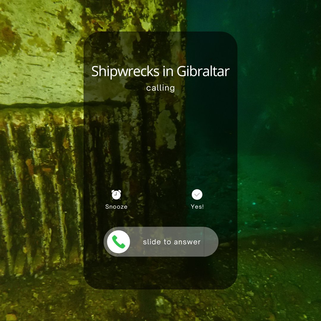 DivingWithNic's tweet photo. Shipwrecks in Gibraltar are calling you. 📲 Exploring the sunken shipwrecks of Gibraltar, where history and adventure meet below the surface. 🛳️ Join us on this epic underwater journey and discover the secrets of these sunken vessels. #shipwreckdiving #gibraltardiving https://t.co/c1u5mGfYzN