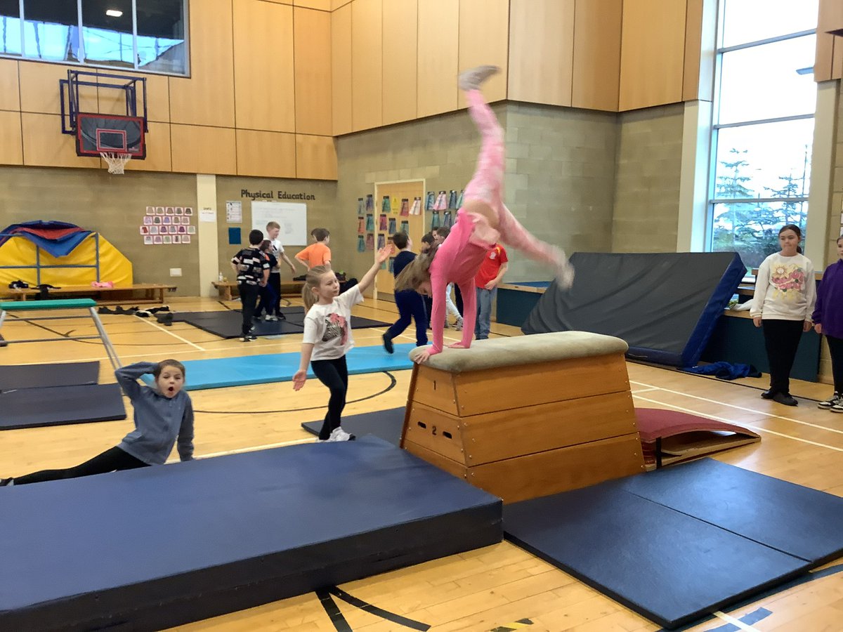 DeanburnPS_P4R's tweet photo. Children have been demonstrating fantastic skill in gymnastics recently. @MissMckelviePE was so pleased with our enthusiastic learners. #phyiscaleducation #enthusiasm #fun https://t.co/9SGWKpbyrk
