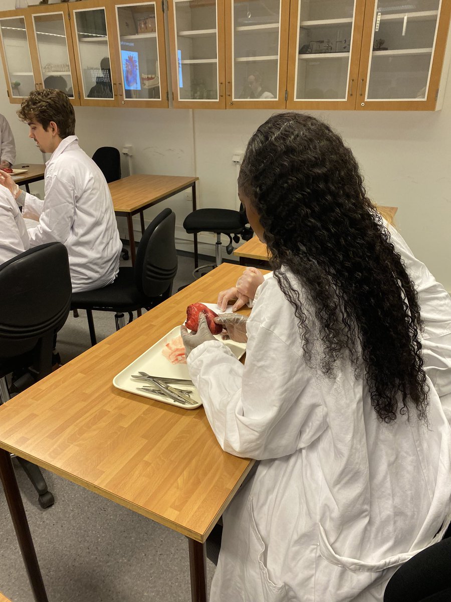 ExchangeSwedish's tweet photo. And some heart dissection in Year 2 science 🧬 https://t.co/IuCdIcu2tS