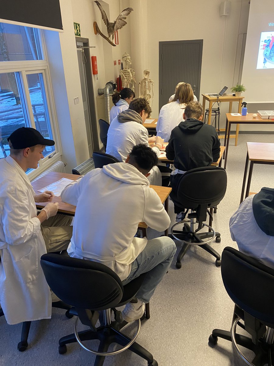 ExchangeSwedish's tweet photo. And some heart dissection in Year 2 science 🧬 https://t.co/IuCdIcu2tS