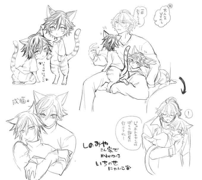 rkgk
四ノ宮さん家で飼われている一ノ瀬にゃんこ 