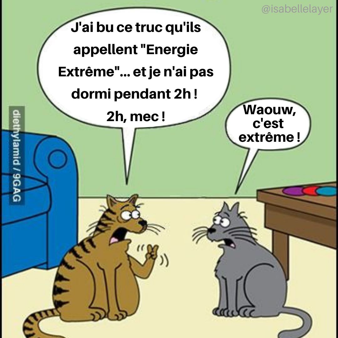IsabelleLayer's tweet photo. Chat trauma 🙀
.
.
.
#chat #histoiredechat #lolcat #boissonenergetique #sieste #extreme #humourdujour #blaguedujour #histoiredrole #bonnehumeur #fun #igfun #humour #blague #isabellelayer #viserlalune #labellevie #artistedelavie #bonnejournee https://t.co/Ituy638xwT