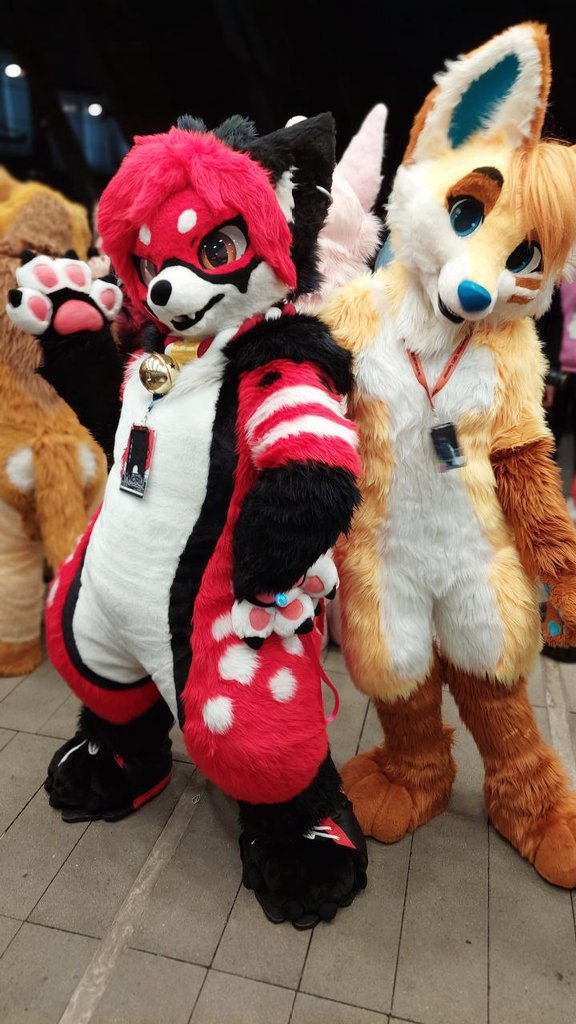 kaorukitsune.bsky.social ( 🩵🦋) tweet media