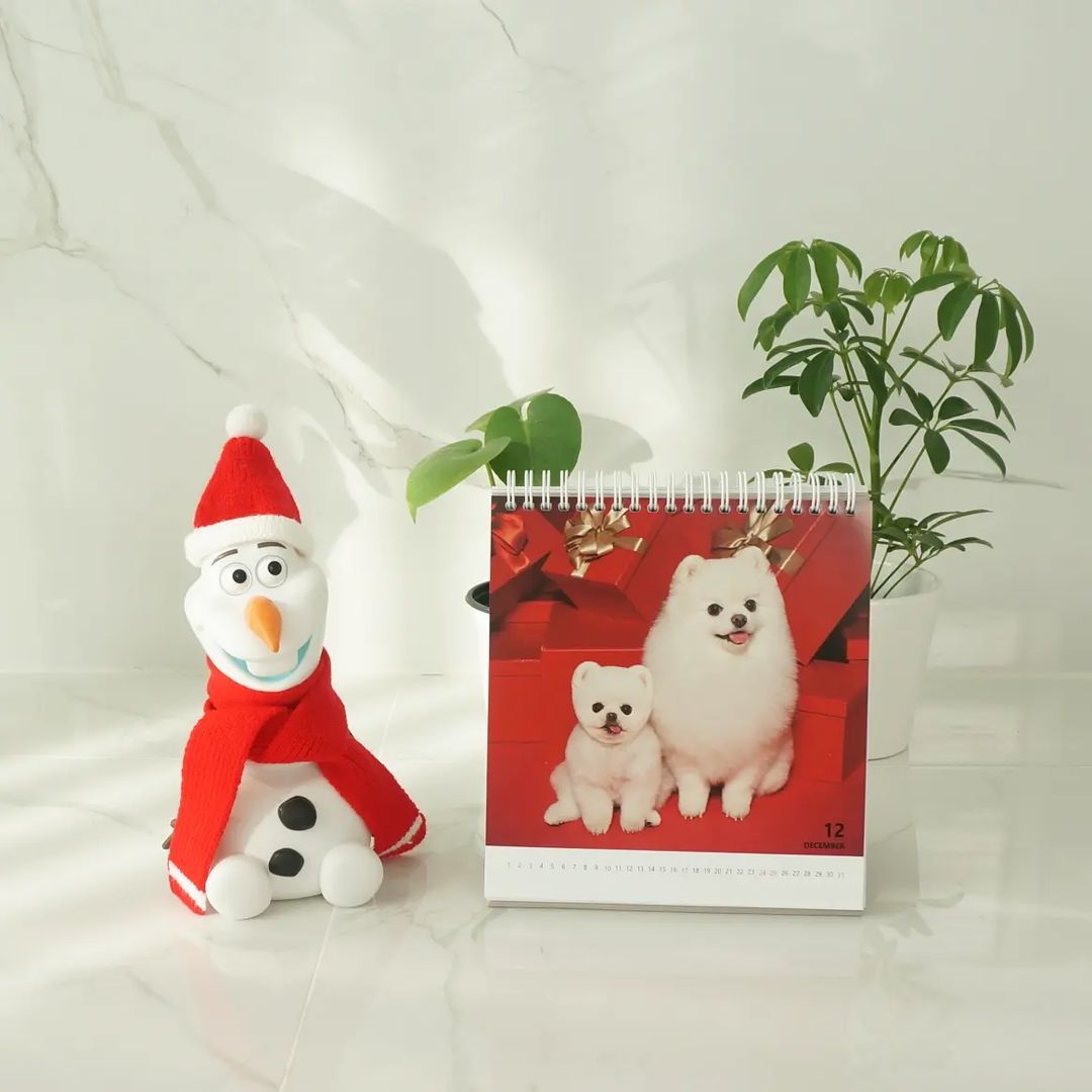 🐶 인기만점 루퐁이네 🐶

📅 무려 122 페이지로 달력과 스케줄러가 한 번에!
💛 2023 루퐁이 달력 수익금은 유기 동물을 위해 전액 후원!

[판매 굿즈]
🐶 2023 루퐁이 주간 달력
🐶 루퐁이 리무버블 스티커 3종
🐶 루디, 퐁키 실사 얼굴톡
🐶 루디, 퐁키 마우스패드

👉 memez.kr/goods/goods_vi…