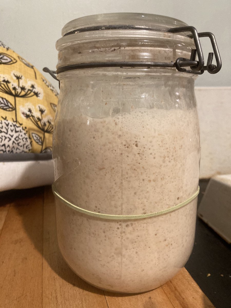 VSSufficiency's tweet photo. Livelier than me this morning
#sourdough #februaryblues https://t.co/WXtzxEuQom