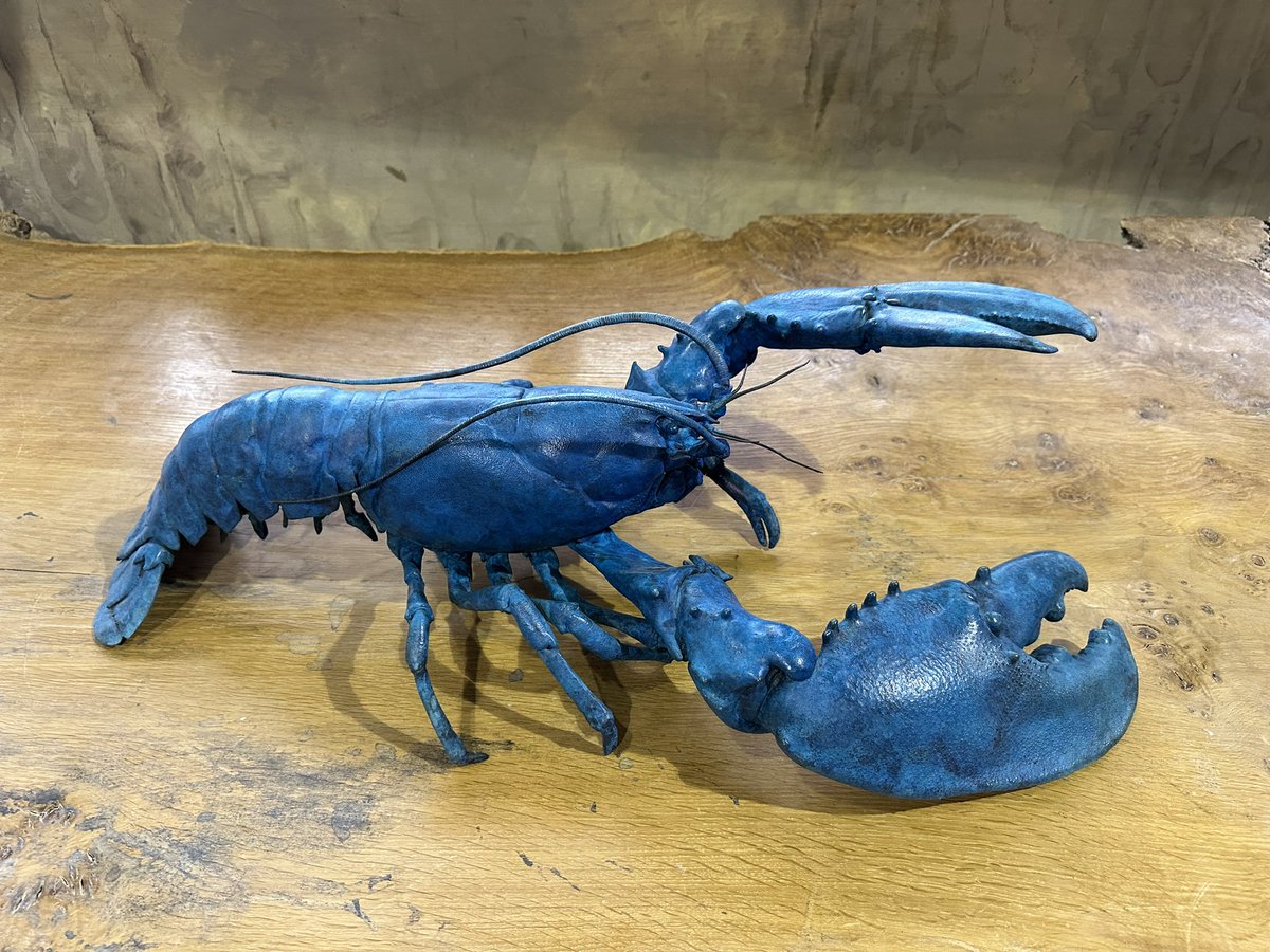 HMackieSculptor's tweet photo. Lobster 2023

https://t.co/kMhEqA5JG6

#lobster #sealife #seacreatures #seaanimals #oceanlife #oceancreatures #oceananimals #underthesea #lifecast #lifecasting #bronzesculpture #bronzestatue #bronzeart #sculpture #statue #artwork #contemporarysculpture #contemporaryart #newwork https://t.co/HCXlDClThM