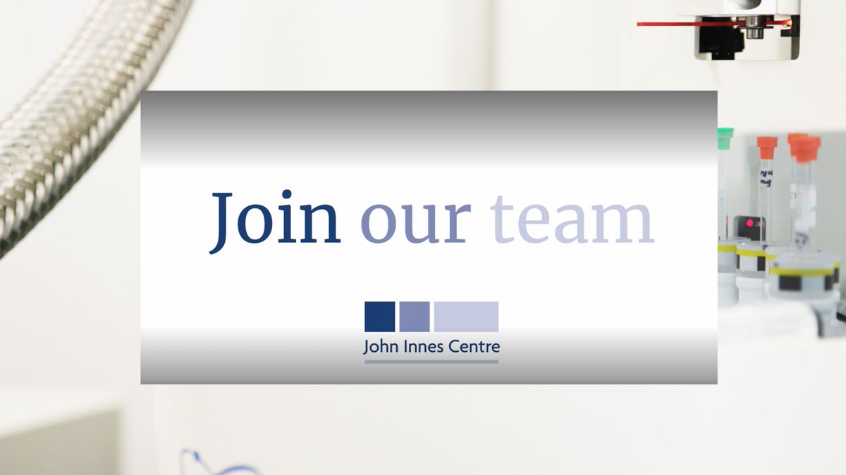 John Innes Centre (@johninnescentre) on Twitter photo VACANCY - We're looking for a Postdoctoral Researcher to join the <a href="/charpentier_lab/">Myriam Charpentier</a> at the John Innes Centre, working on cutting-edge science in root legume endosymbioses signalling.
okt.to/YEf9wz
Closing date - 13th February 2023
Contract - 2 Years, full time VACANCY - We're looking for a Postdoctoral Researcher to join the <a href="/charpentier_lab/">Myriam Charpentier</a> at the John Innes Centre, working on cutting-edge science in root legume endosymbioses signalling.
okt.to/YEf9wz
Closing date - 13th February 2023
Contract - 2 Years, full time