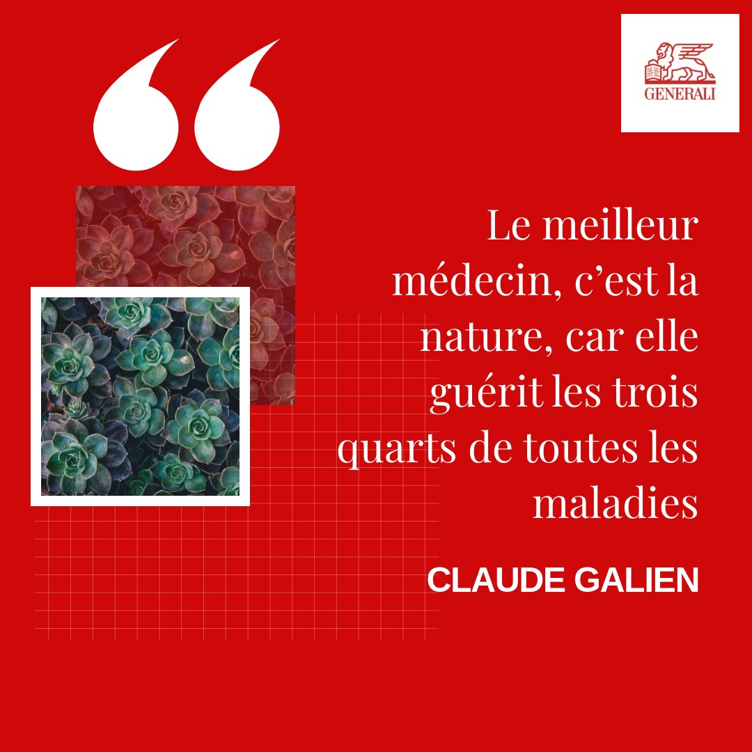 MichalLecomte1's tweet image. {Citation du jour} 😎

Quand la #nature fait bien les choses...🌿

#médecinedouce #médecinenaturelle