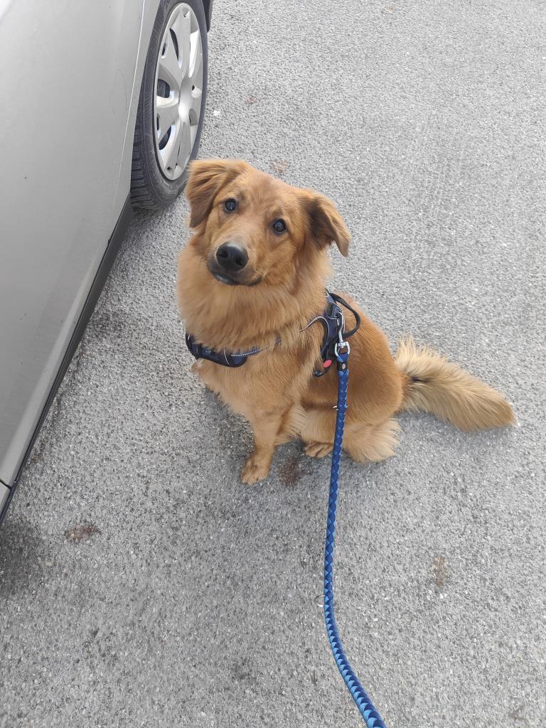 ruththue2's tweet photo. Wer ist das allertollste Beeebiii??? 
🥰 https://t.co/dngnJmPAw6