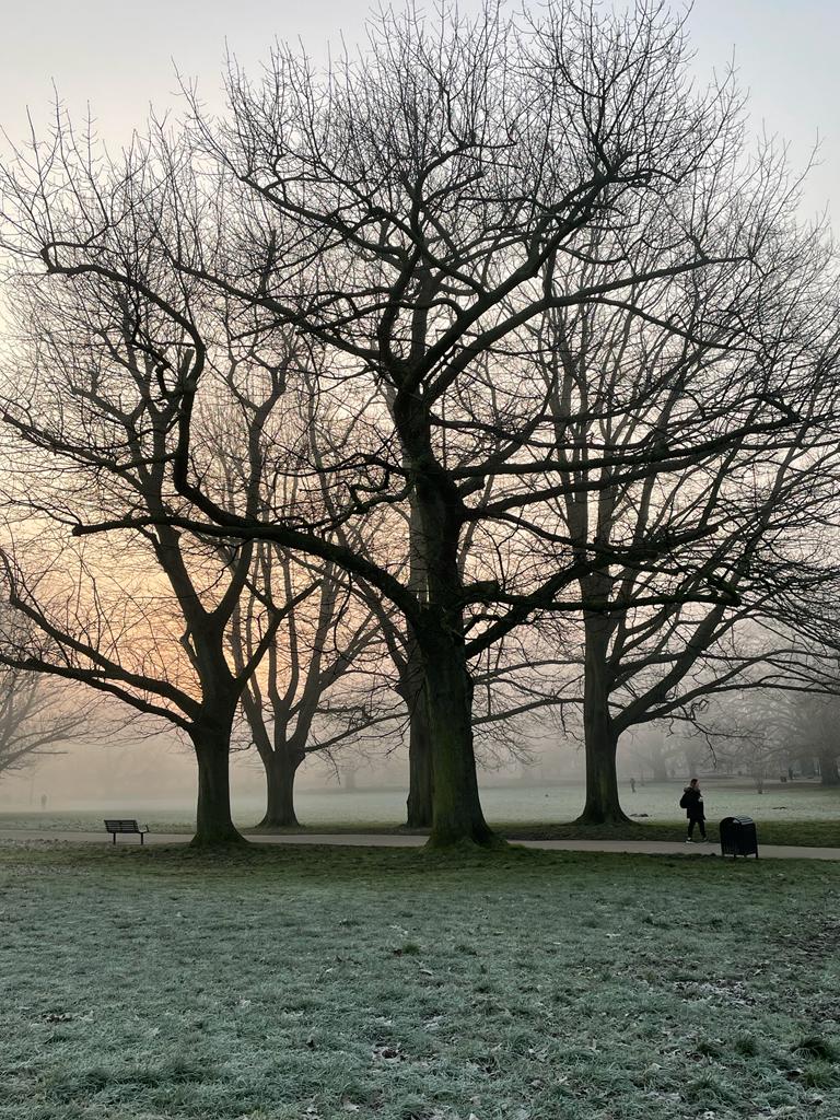 Barbara Thompson tweet media