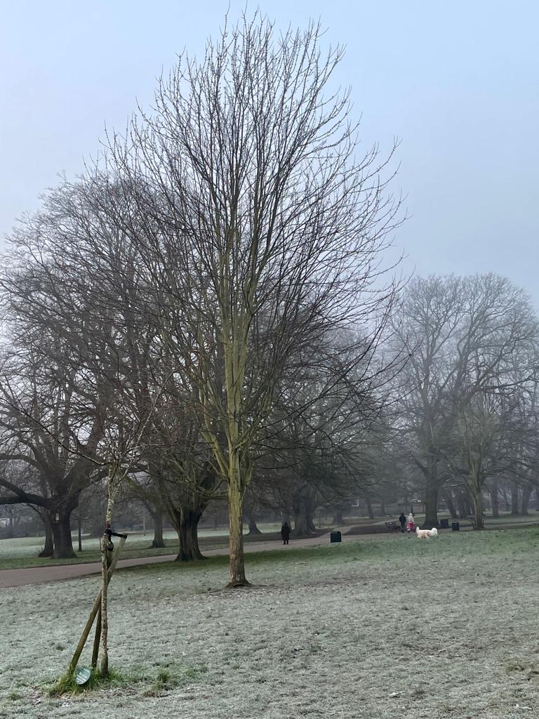 Mother nature is exquisite. Took a longer route to work so that I could appreciate her fabulousness 😍 #acton #westlondon #actonpark