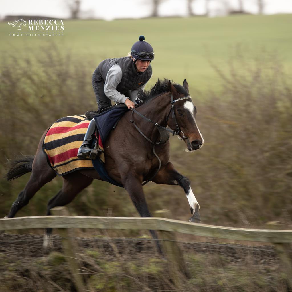 Rajmeister also runs in the 6.00 at @WolvesRaces Ridden by Paddy Bradley Good luck to owners @FlashFigsRacing #teammenzies #horsetraining #stablelife #racehorsetrainer #racehorse #jockey #horserace