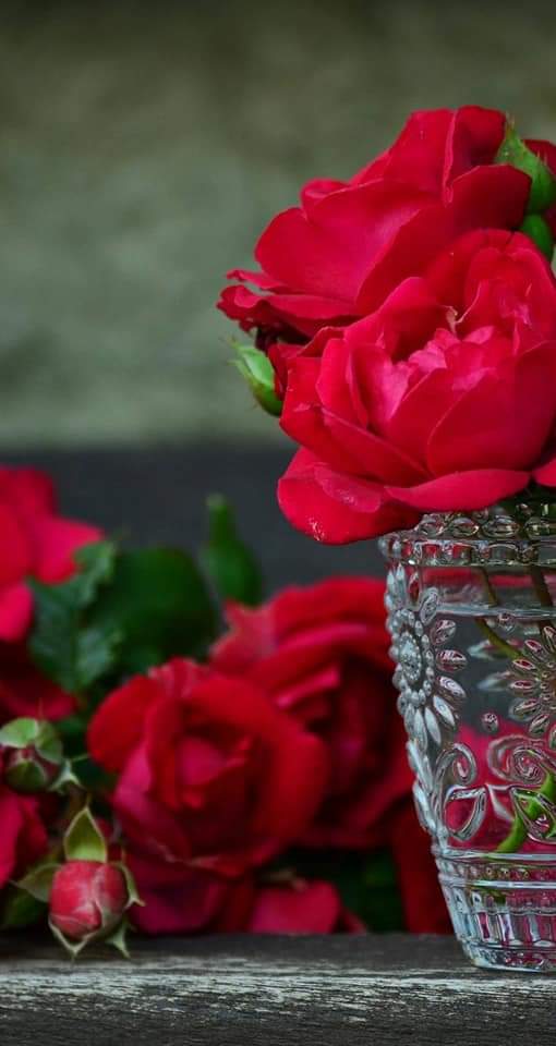 DehatiChora1's tweet photo. बहुत चुपके से दिया था गुलाब 🌹उन्हें

कमबख़्त खुशबू ने कोहराम मचा दिया           🌹 https://t.co/g4z4bGLtRc