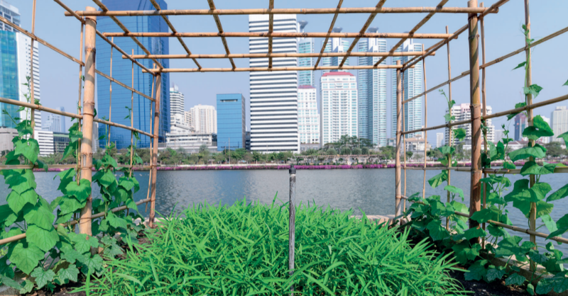 w_hoch_2's tweet photo. Gedankenexperiment für den zeitgemäßen Unterricht: "Dein Start-Up möchte #UrbanFarming in deiner Stadt durchsetzen...Wie überzeugst du die Investoren?!" #methodenfit Spielerisches Lernen mit den Unterrichtsimpulsen von #schufamachtschule.
