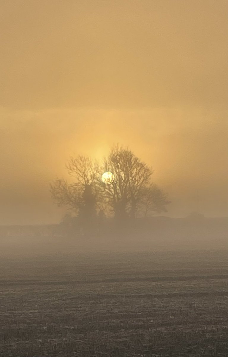 Rob Major tweet media