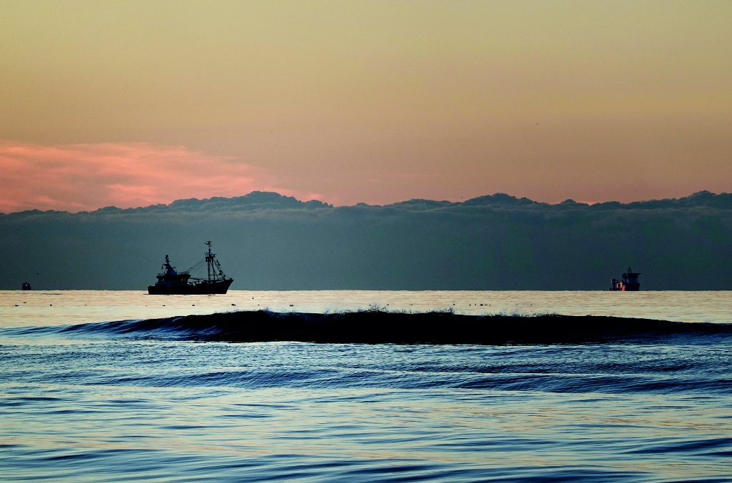 Vast tussen wetenschap en politiek  -  visserijnieuws.nl/nieuws/algemee…