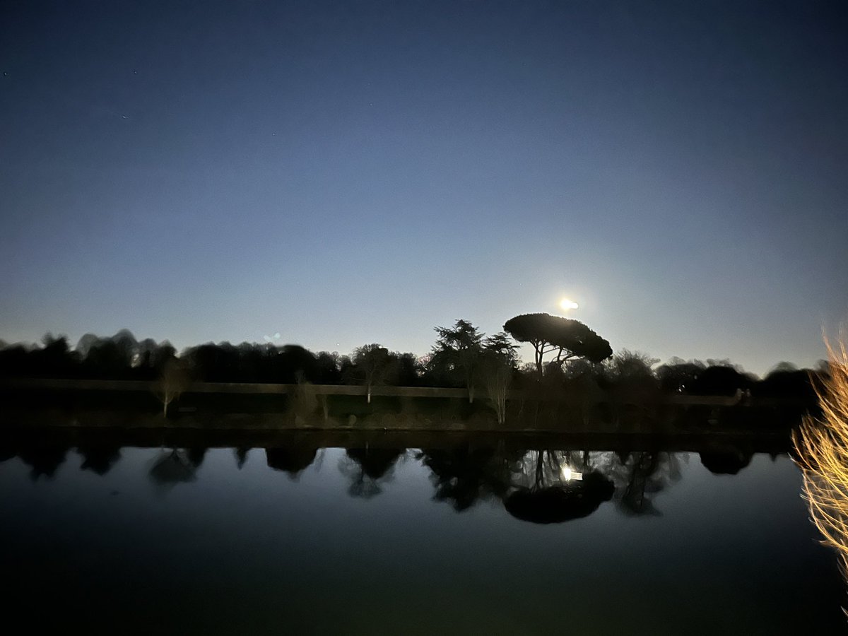 Perfect water for rowing last night