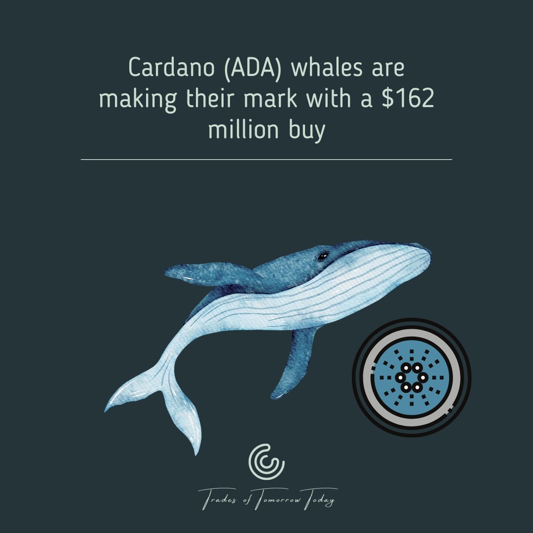 Cardano (ADA) price surges 65% in 2023 with key whales accumulating $162M. Addresses holding 100K to 100M ADA hit a 12-week high. Despite fluctuations, Cardano maintains its #8 rank with a market cap of $13.8B. Will this whale activity lead to a boost or bust? 

#ADA #Cardano