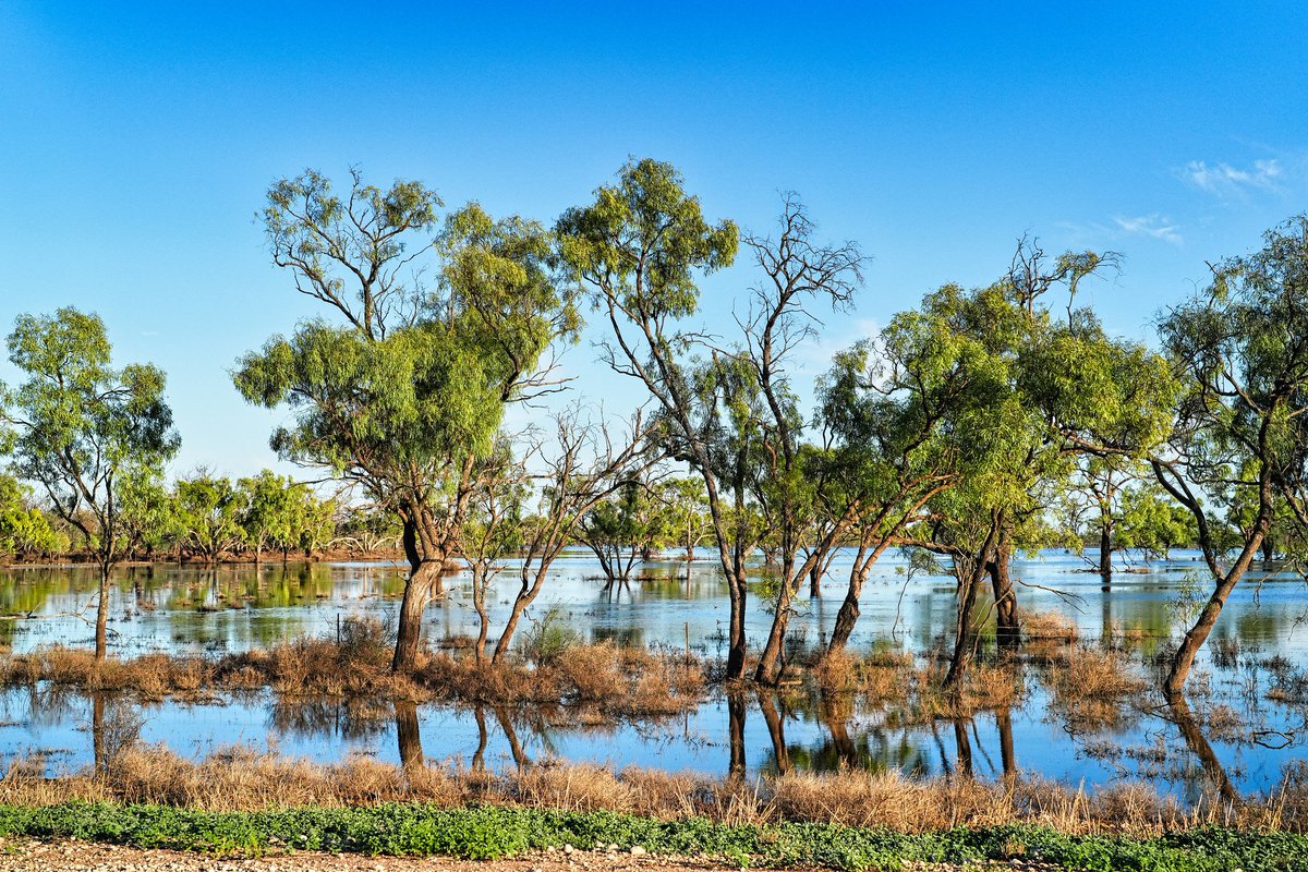 roentarre's tweet photo. I went back to #moulamein #nsw after #Flood receded.

There are still flooded pockets of water by the sides of the road

#ThePhotoHour 
#StormHour 
#DailyPictureTheme 

@StormHour 
@ThePhotoHour 
@DailyPicTheme2 https://t.co/U6lQZUqfl7