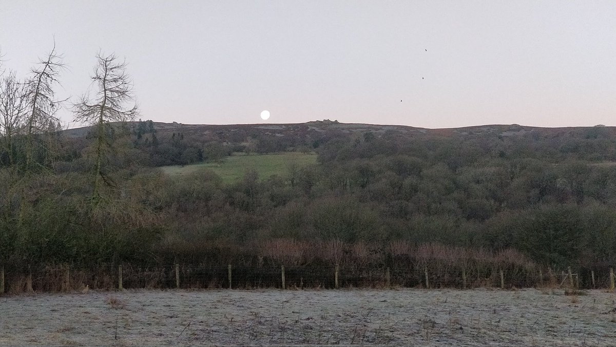 Jane38Harrop's tweet photo. Full moon over the Stiperstones Ridge on a frosty morning. https://t.co/rQSvoF8CAF