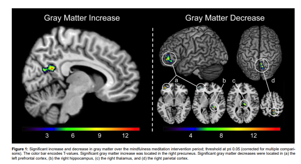 NOJ-Openventio Publishers tweet media