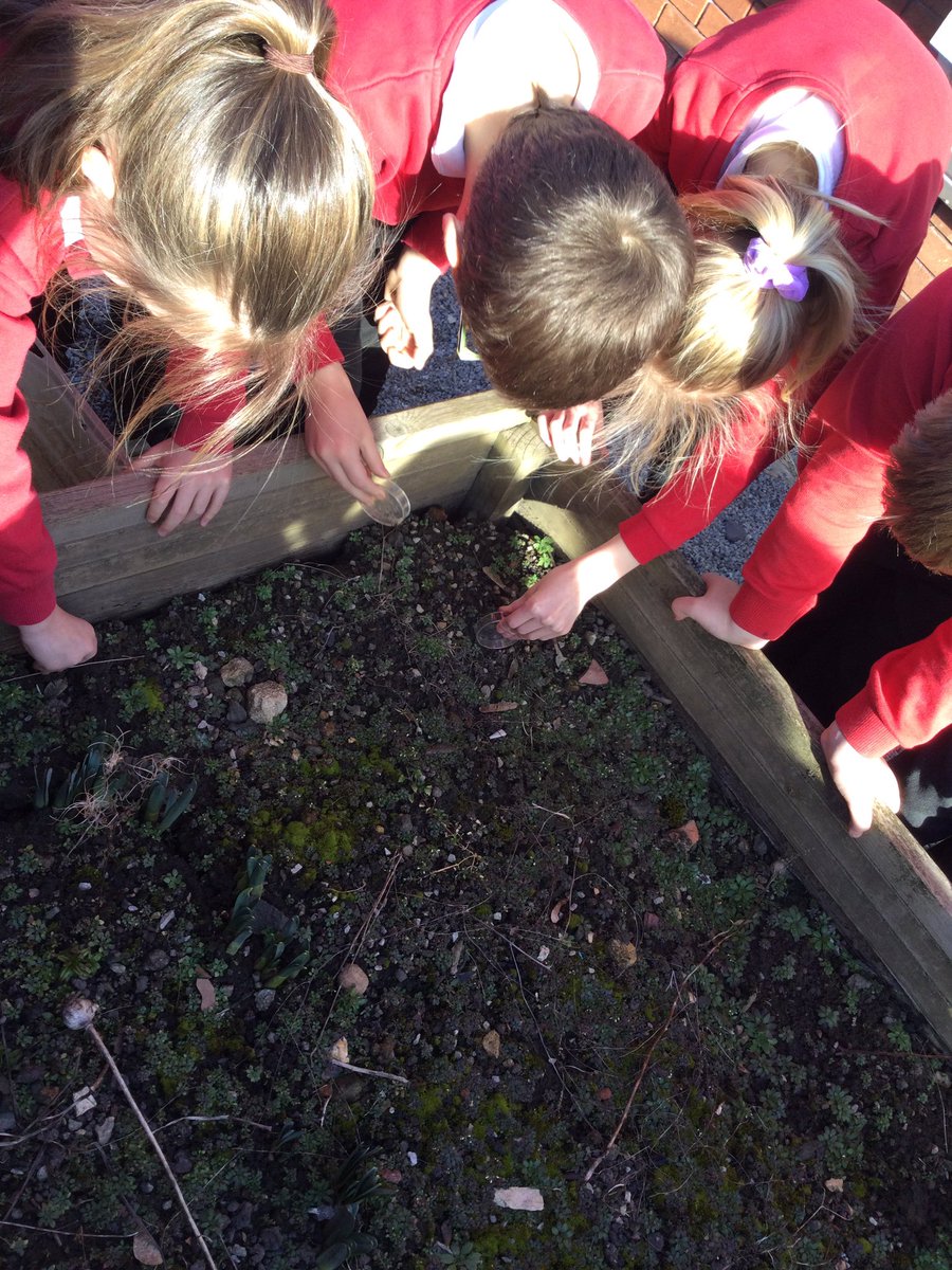 MD_Class3's tweet photo. As part of our science topic, we have been investigating soil. The children collected their own sample and looked closely to see what soil is made of 👍🏻@MD_Class3 @MillDamSchool #MDscience https://t.co/i7iiwkEXmc
