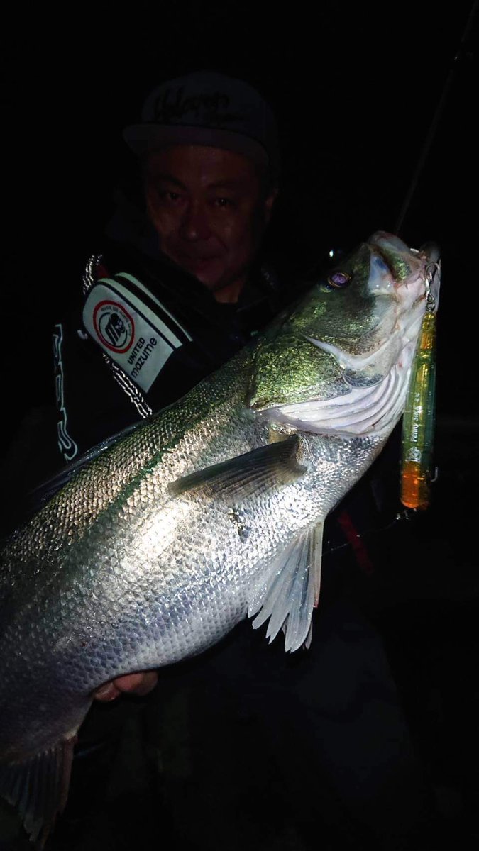 GaudisJapan's tweet photo. 熊本の米村金太郎さんから、エクセルシオールイグニスとビーストスティック69HDGでのシーバスの釣果が届いてます♪
GAUDISサテライトショップ
https://t.co/IoC9mW5Egs
#GAUDIS #ガウディス #castdivision #gaudis #fishingline #lurefishing #peline #seabass #japanesefishingline https://t.co/GaRXLh3IHL