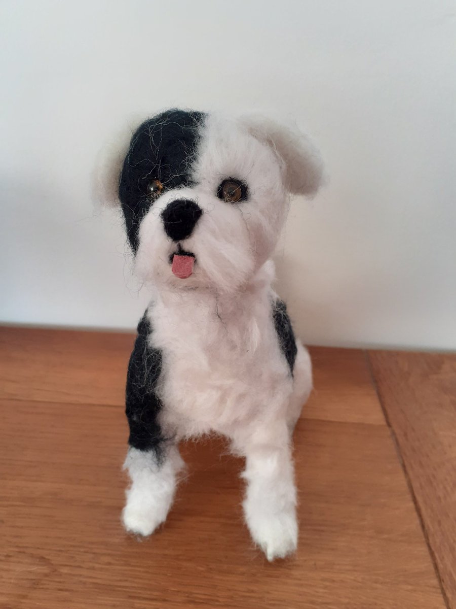 DobsonBruce's tweet photo. Pet replicas made up from your own photos to capture all distinguishing features and markings Please message me for further information 
#pets #dogs #Commissions https://t.co/Y4r6V6FFuh