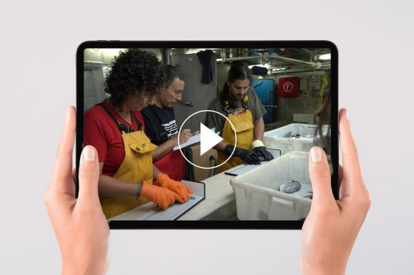 fisheriesRCG's tweet photo. FISHN’CO addresses the need to develop Regional Work Plans (RWPs) for some #FisheriesRCG.
📽️Discover the project through their new video: https://t.co/tPSCaFcq7C
#DataCollection #EU_DGMARE #FIsheriesDCF #EUMAP #EMFF https://t.co/eESKkNUUdz