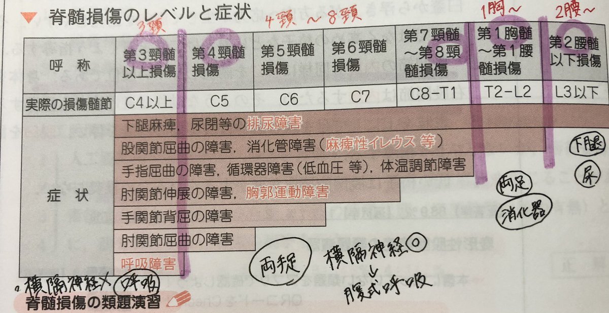 ハタちゃん🐣🔰 tweet media