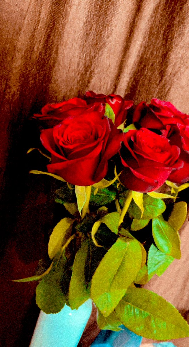 Harshii0603's tweet photo. Happy rose day 🌝♥️ https://t.co/dYZ7NBU6iX
