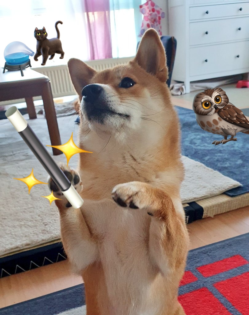 PrussianPupper's tweet image. Nicht mehr lang dann bin ich wie Harry Pupper! #HogwartsLegacy #streamerde #streamde #twitchde #ShibaInu #Shiba #youtubede #cute