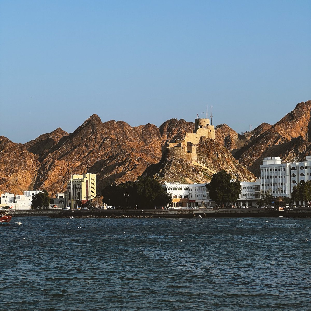 A visual reminder for whenever I forget why I moved to Oman. SOLITUDE. #Muscat #Oman