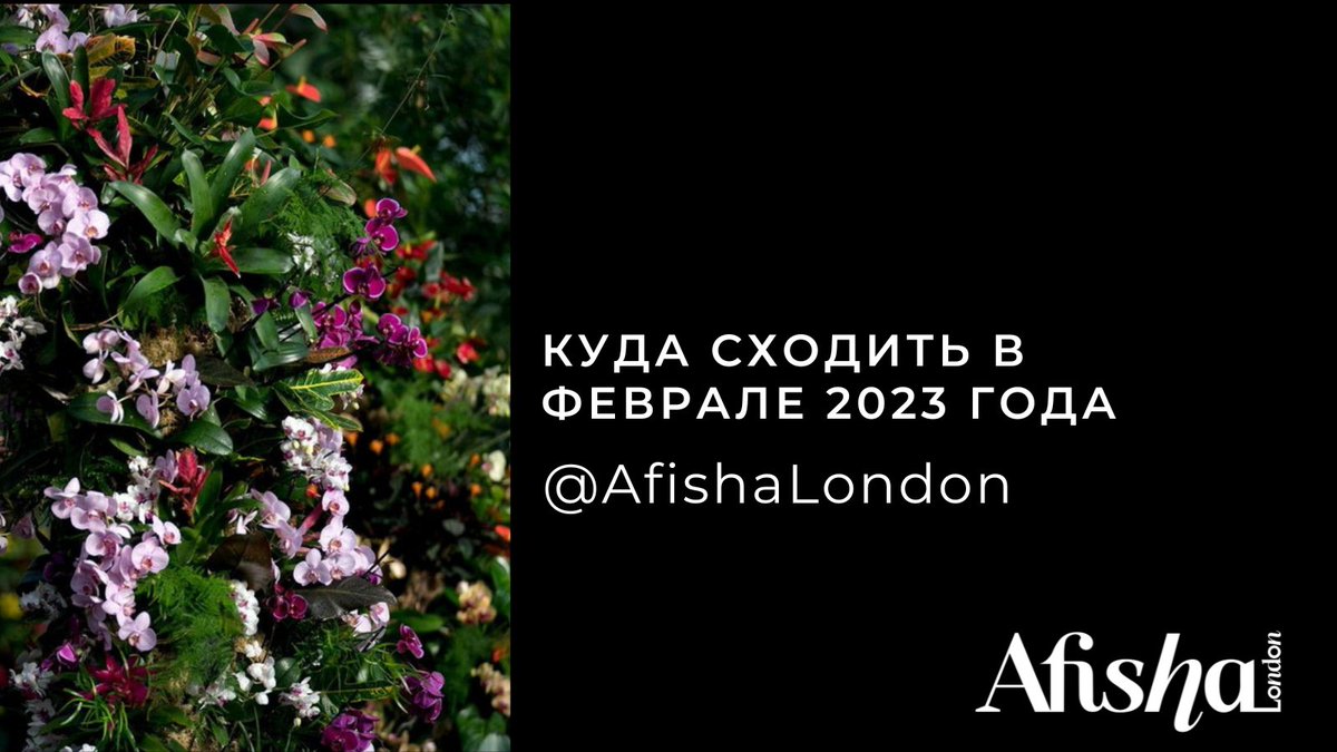 The last month of winter can be the most exciting one!

In case you are out of ideas and do not know what to do in February, we are here to help you out!

Read the editorial/RUS
afisha.london/2021/09/29/kud…

#afishalondon
#london #лондон
#зима #культура #искусство