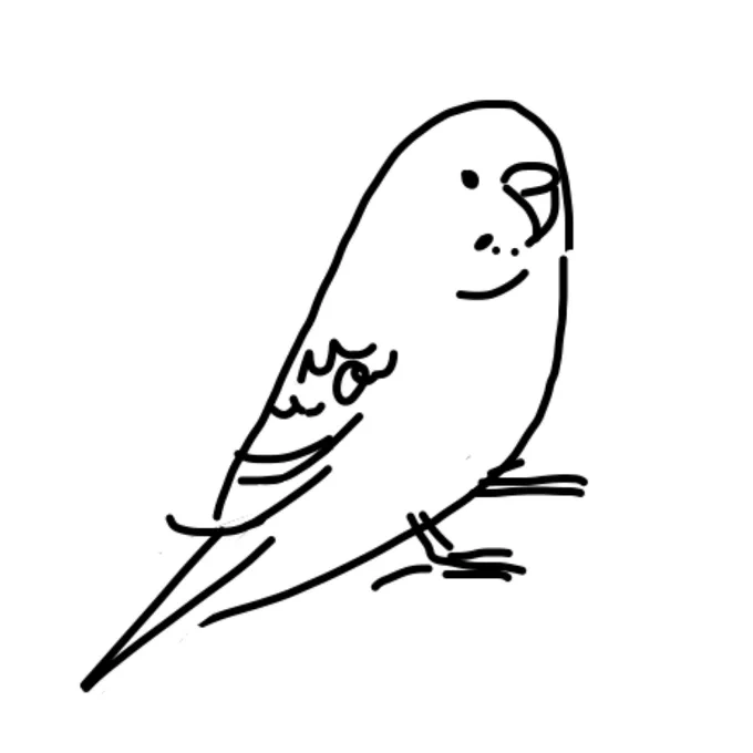 セキセイインコ線画 